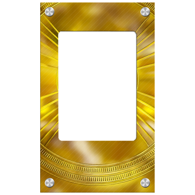 Art Display For Pokemon Cards  - M2 Heatsink Cooler recension och pris